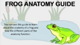 Frog Anatony Guide - Aid to Frog Dissection Information/Ac