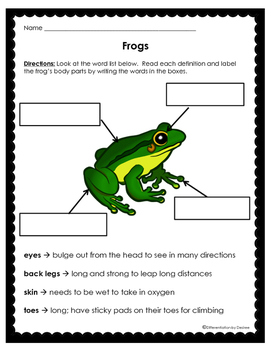 Preview of Frog Body Part Labeling