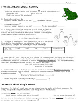 frog dissection worksheet