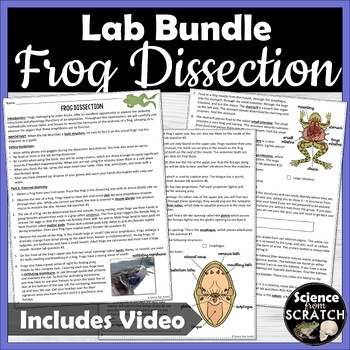 Preview of Frog Dissection Packet, Review Activities, Diagrams, Lab Test, and Video