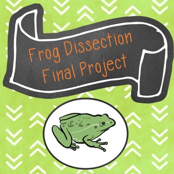 Preview of Frog Dissection Final Project