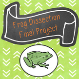 Frog Dissection Final Project