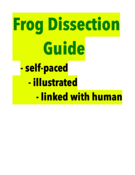 Preview of Frog Dissection Guide / Free Teacher's Guide (for my self-paced student guide)