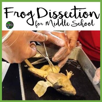 Preview of Frog Dissection Lab