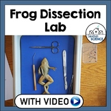Frog Dissection Lab - High School Biology or Middle School