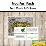 Frog Fast Facts - Montessori Zoology Cards & Pictures