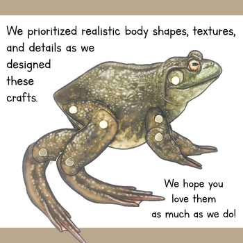 frog body template