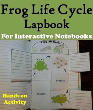 The Life Cycle of a Frog Activity/ Foldable: Eggs, Tadpole, Froglet Etc.