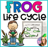 Frog Life Cycle