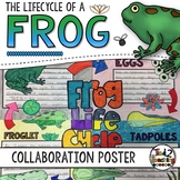 Frog Life Cycle Activity: Collaborative Research Poster