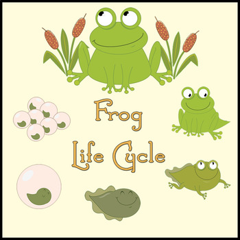 Preview of Frog Life Cycle - Art, Reading, Writing, Comp. Questions - Distance Learning