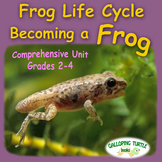 Frog Life Cycle - Becoming a Frog