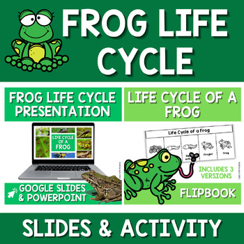 Preview of Frog Life Cycle Bundle: Google Slides PowerPoint Presentation Flipbook Activity
