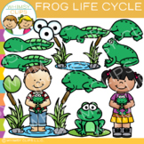 Frog Life Cycle Spring and Summer Science Sequencing Clip Art