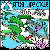Frog Life Cycle Clip Art Set