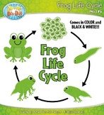 Frog Life Cycle Clipart {Zip-A-Dee-Doo-Dah Designs}