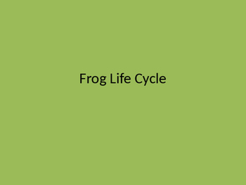 Preview of Frog Life Cycle Coloring Booklet