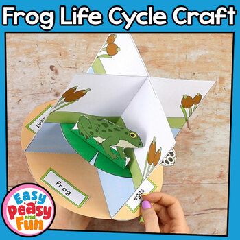 Frog Life Cycle Craft | 3D Diorama Craft Activity by Easy Peasy and Fun