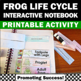 Frog Life Cycle Craft Frog Theme Spring Summer School Curr