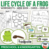 Frog Life Cycle Cut & Paste Worksheet Sequencing Kindergar