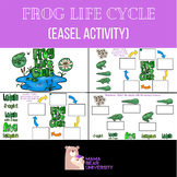 Frog Life Cycle (Easel Activity)