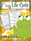 Frog Life Cycle FREEBIE