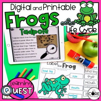 Preview of Frog Life Cycle Independent Work - Print & Digital All About Frogs Activities