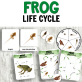 Montessori Frog Life Cycle Preschool Science Activities wi