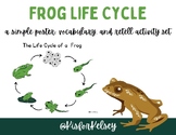 Frog Life Cycle Kindergarten Research Writing Center Activ