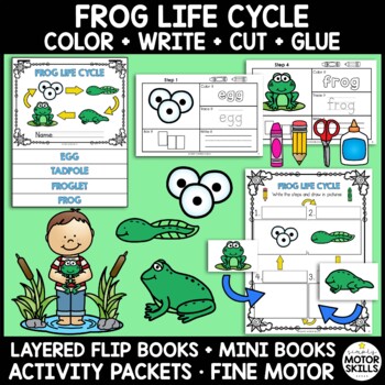Preview of Frog Life Cycle- Layered Flip Book, Mini Book, Activity Packet, Tadpole