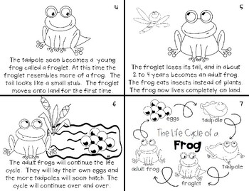 Frog Life Cycle Mini Study 