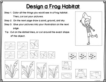 Frog Life Cycle Mini Lesson, Habitat Design Activity, Creative Writing