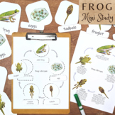 Frog Life Cycle Mini Study: metamorphosis of a frog mini u