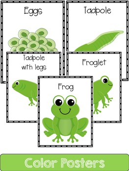 Frog Mini Unit