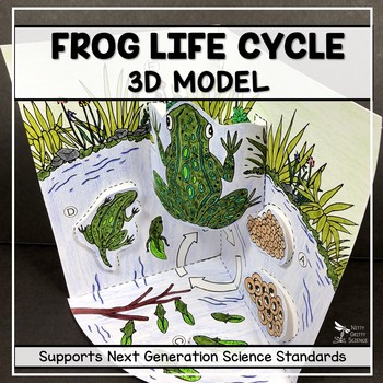 Download 3d Life Cycle Projects Worksheets Teachers Pay Teachers