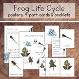 Frog Life Cycle Pack