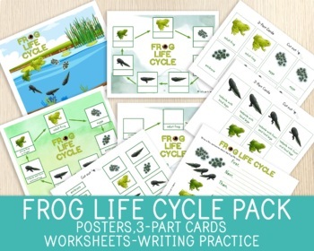 Preview of Frog Life Cycle Pack, Posters, Worksheets, 3 Part Cards,Writing, Science Centers