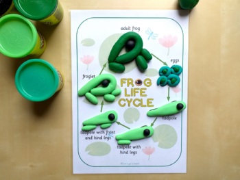 Frog Play-Doh Mat