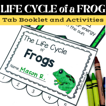 Preview of Frog Life Cycle - Posters Activities and Tab Book
