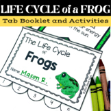 Frog Life Cycle - Posters Activities and Tab Book