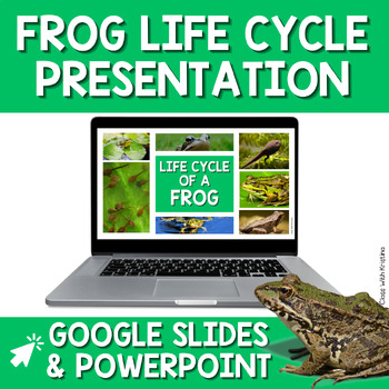 Preview of Frog Life Cycle Presentation - PowerPoint & Google Slides | Science Lesson