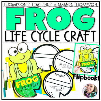 Preview of Frog Life Cycle Project | Amphibian project | Frog Craft