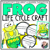 Frog Life Cycle Project | Amphibian project | Frog Craft
