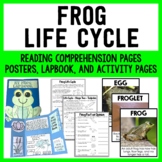 Frog Life Cycle Science Unit - Reading Passages and Worksheets!