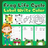 Frog Life Cycle Science Writing Coloring Frog Labels Name 