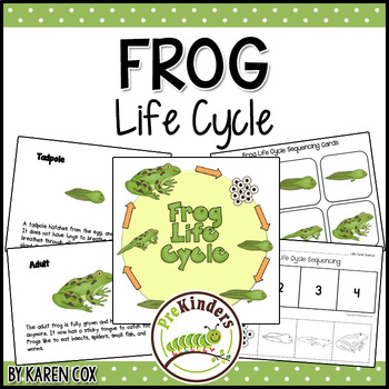 Frog Life Cycle Set by Karen Cox - PreKinders | TPT