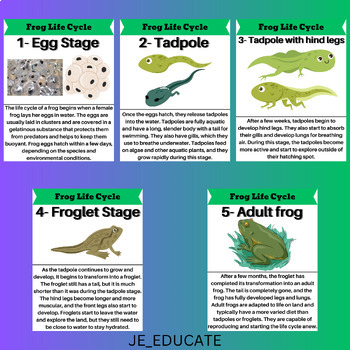 Frog Life Cycle Unit: Complete with Lessons, Reading Pages