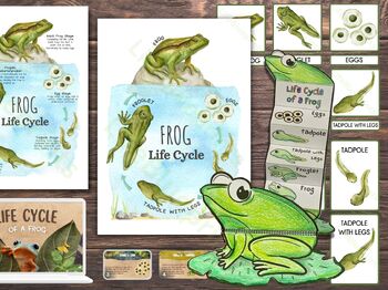 Preview of Frog Life Cycle Unit Study | Include Poster, Flashcards, Lesson Plan, Worksheets