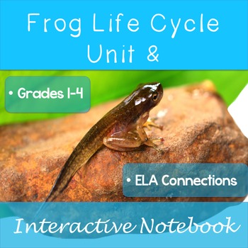 Frog Life Cycle Unit and Interactive Notebook by Ashley Brennan Academics
