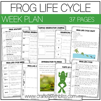 Preview of Frog Life Cycle Week Unit Plan Science K-2 Craft Worksheet